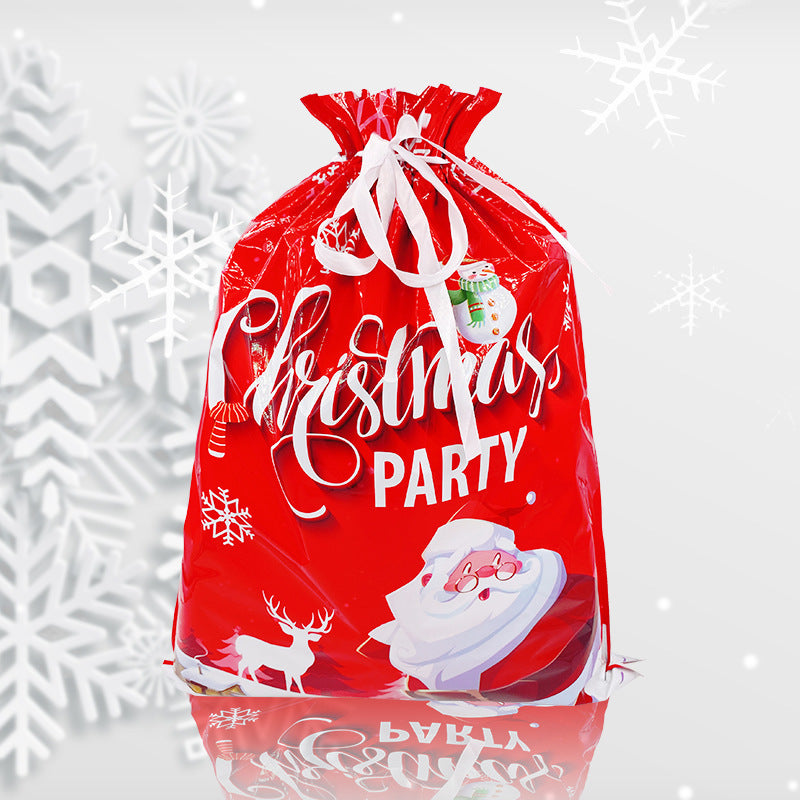 30-Piece Holiday Gift Bag & Tags Set
