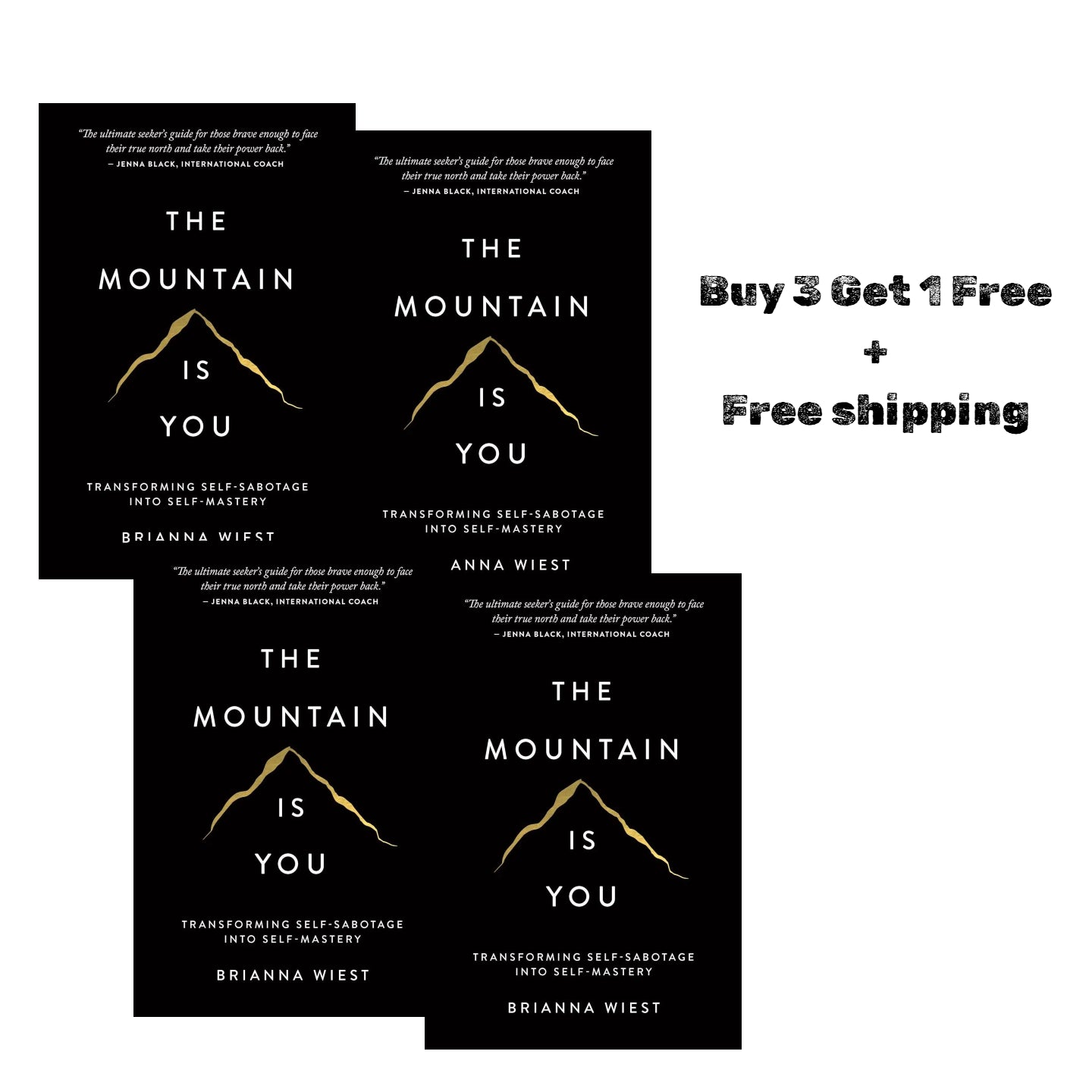 The Mountain Is You: Transforming Self-Sabotage Into Self-Mastery