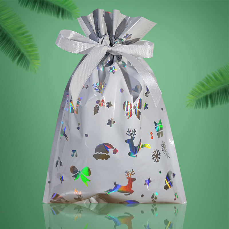 30-Piece Holiday Gift Bag & Tags Set