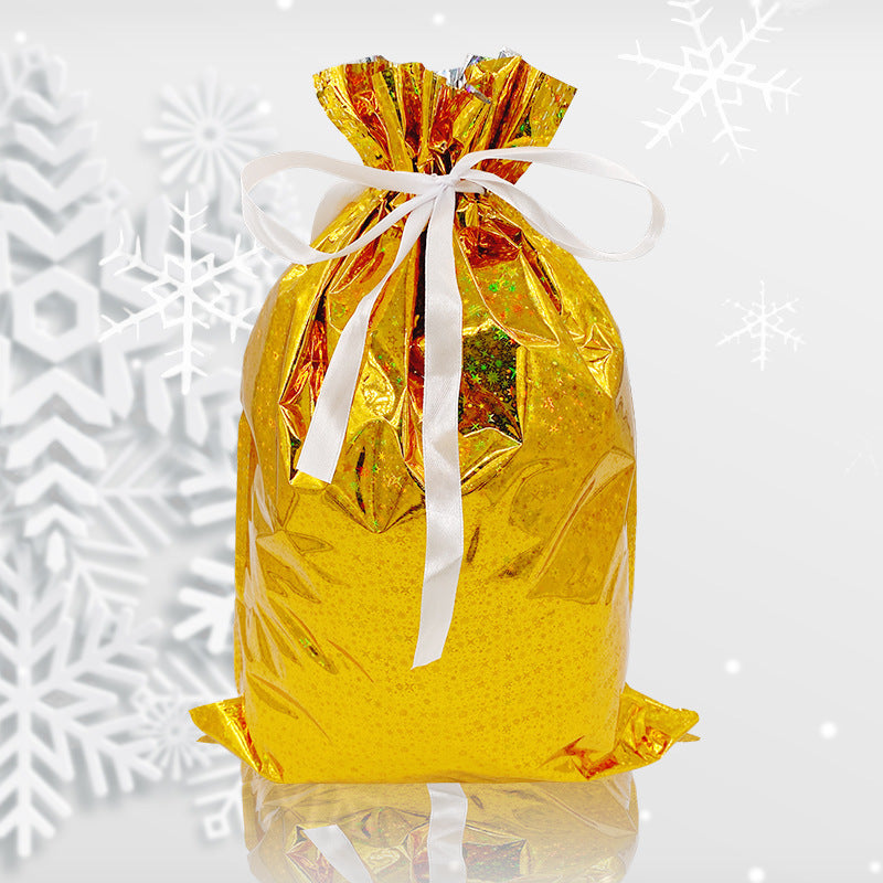 30-Piece Holiday Gift Bag & Tags Set