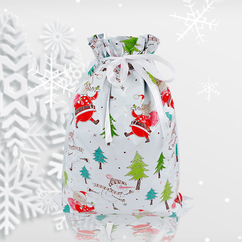 30-Piece Holiday Gift Bag & Tags Set