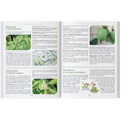 The Lost Book of Herbal Remedies: 800+ Medicinal Plants & Natural Home Remedies