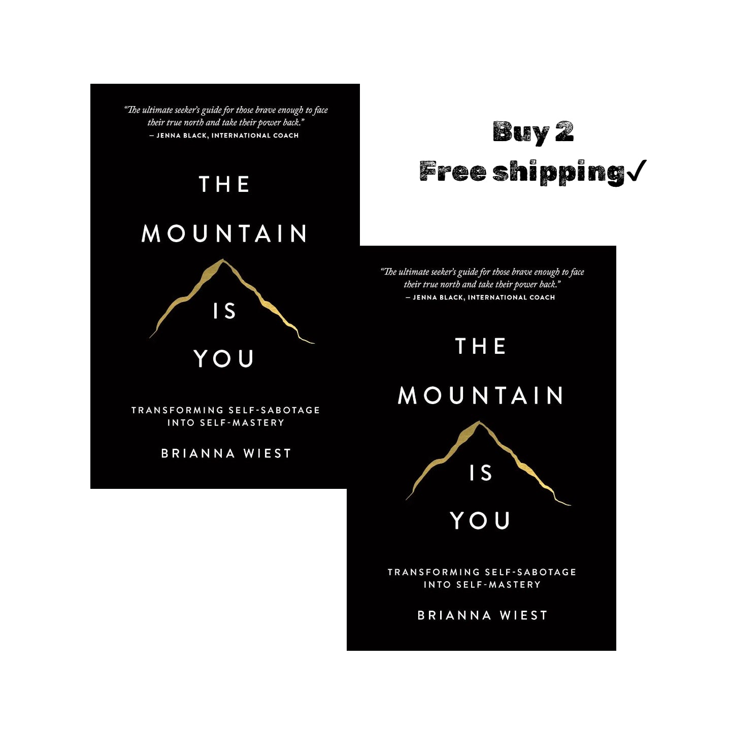 The Mountain Is You: Transforming Self-Sabotage Into Self-Mastery