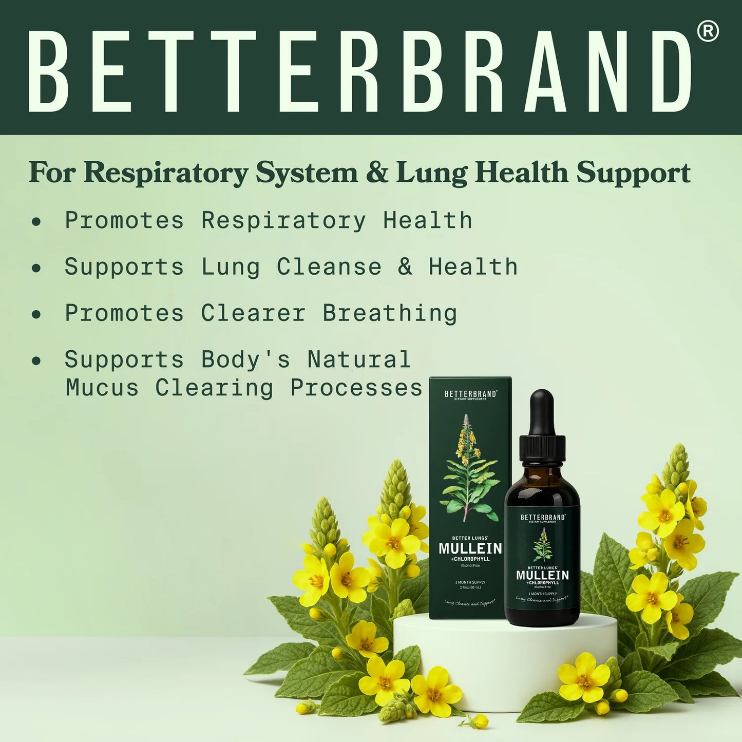 Natural Lung Cleanse Supplement – Mullein & Chlorophyll Formula