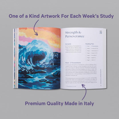 A Beautiful Year in the Bible – 52-Week Bible Study for Women (Softcover)