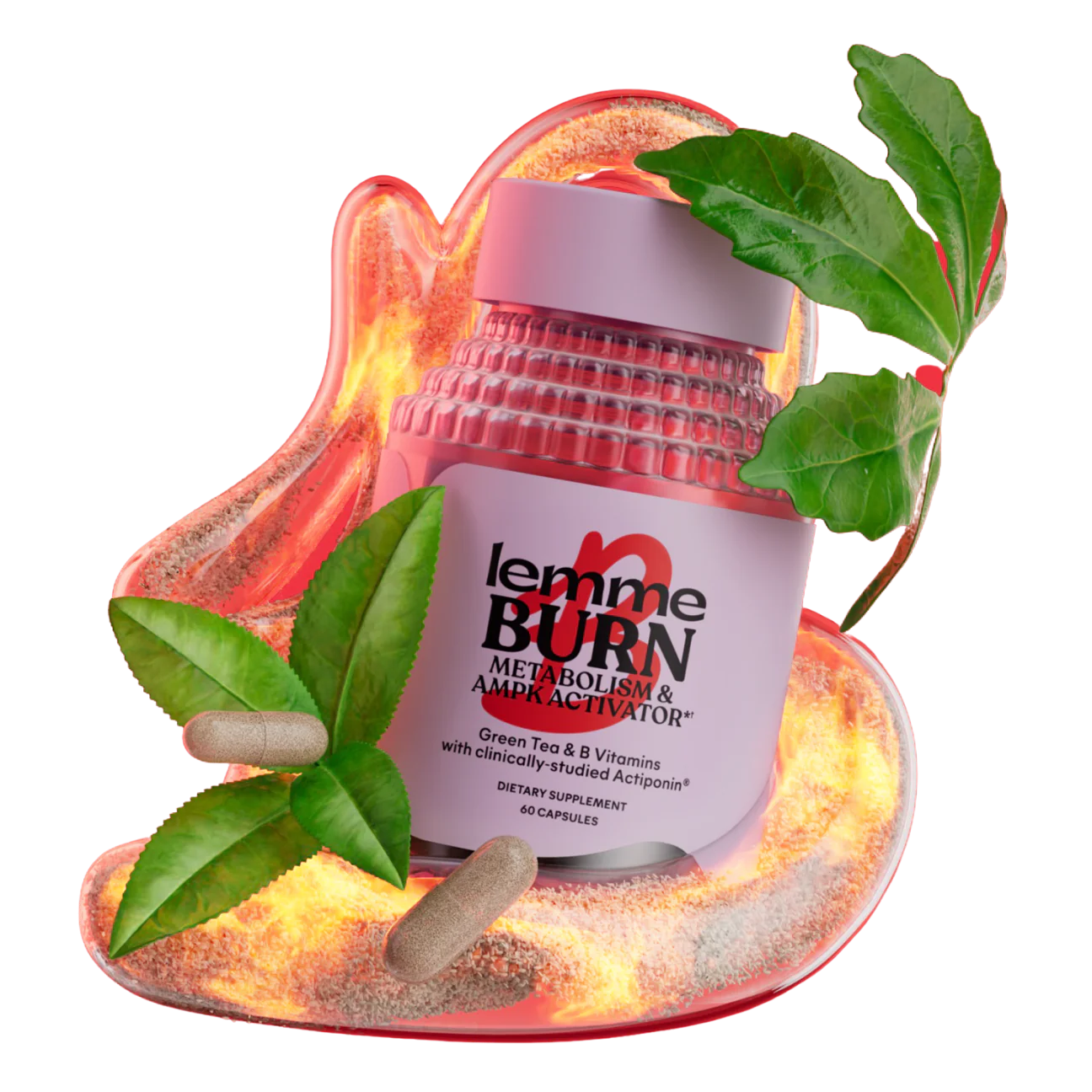 Metabolism, Belly Fat Burning + AMPK Activating Supplement for Men & Women w/Clinically Studied Actiponin Gynostemma, Green Tea Extract, Vitamins B6 & B12 - Gluten Free