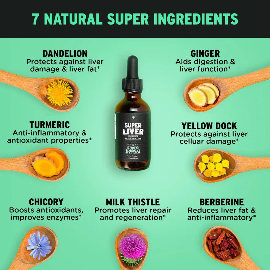 Super Liver – Natural Liver Support Supplement with 7 Herbs, Energy & Immunity Support