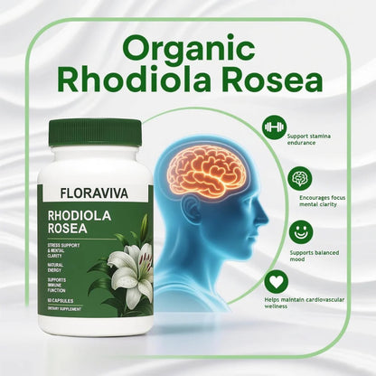 Rhodiola Rosea Capsules - Floravida for Energy, Focus, Mood - 60 Capsules