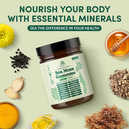 Sea Moss 16-in-1 Gummies | Immunity, Energy & Gut Health Support | Superfood Multivitamin Gummies