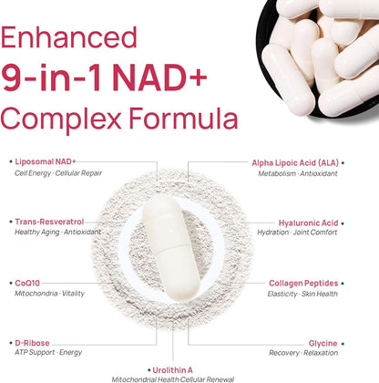 NAD+ for Women – Advanced Anti-Aging & Cellular Energy Formula with β-NAD+, Resveratrol & CoQ10 | Radiant Skin, Vitality & Renewal Support – 60 Capsules