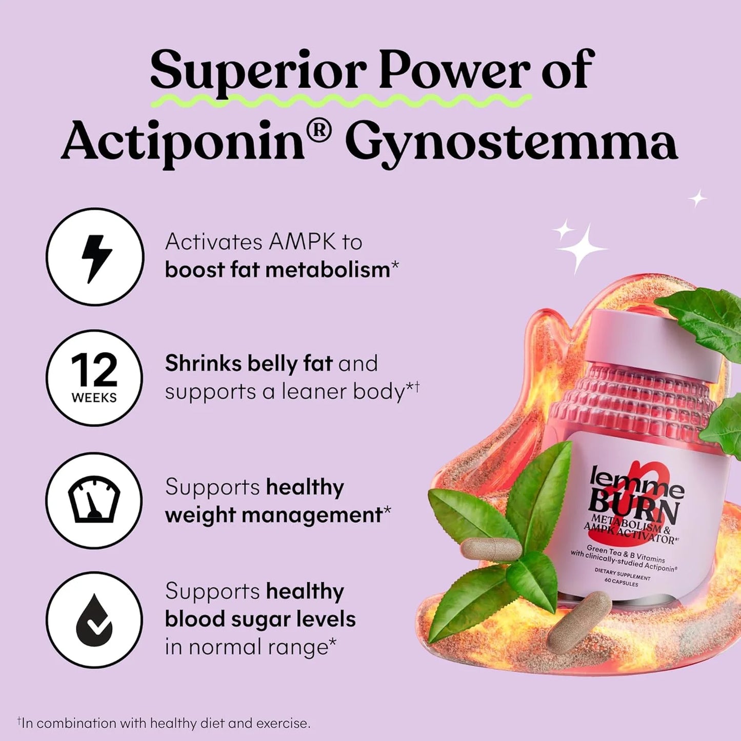 Metabolism, Belly Fat Burning + AMPK Activating Supplement for Men & Women w/Clinically Studied Actiponin Gynostemma, Green Tea Extract, Vitamins B6 & B12 - Gluten Free