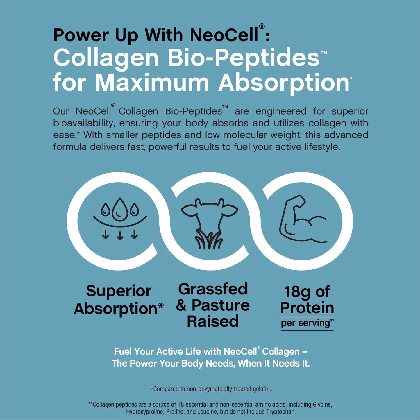 NeoCell Collagen Bio-Peptides Powder 20oz – Grassfed Collagen Protein