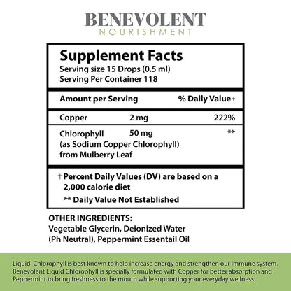 Benevolent Nourishment, Liquid Chlorophyll- Alcohol Free-2 fl oz
