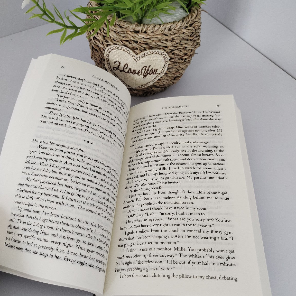 The Housemaid : An absolutely addictive psychological thriller with a jaw-dropping twist by Freida McFadden