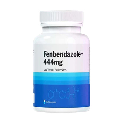 Highly Concentrated Dietary Supplement 444mg – 90 Capsules | Daily Wellness & Immune Support